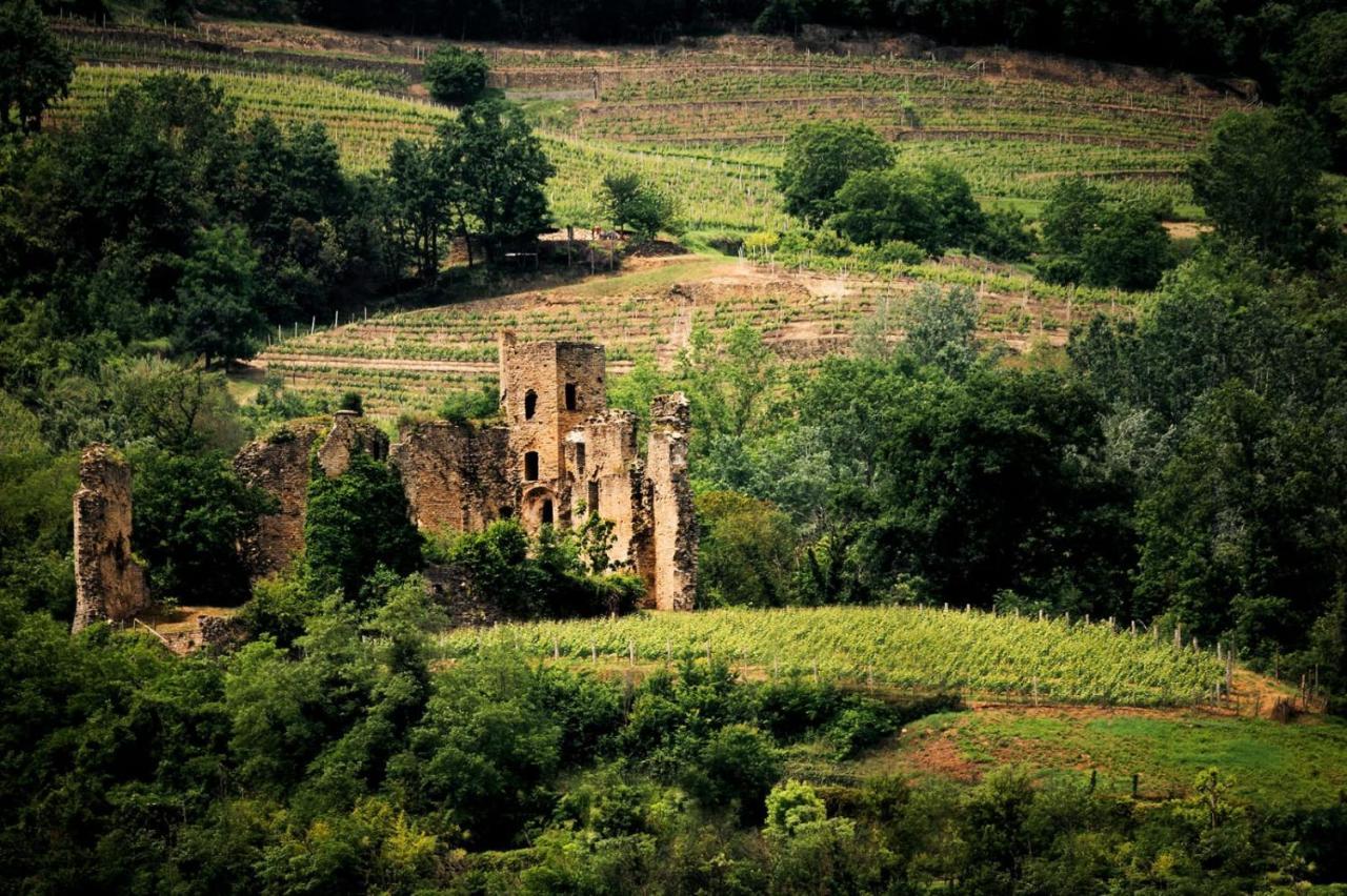 Villa Gelso Vesime Exterior foto